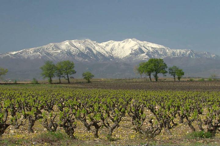 Mont Canigou